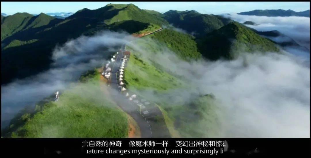 《狗剩快跑》6集就拿下全国收视第一，它到底牛在哪里？